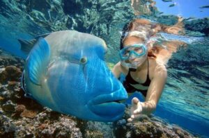Мальдивы-Maldives-3