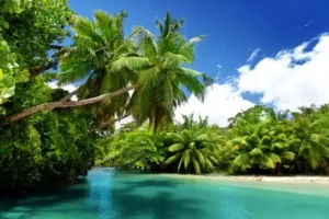 Сейшельские-острова-Seychelles-3